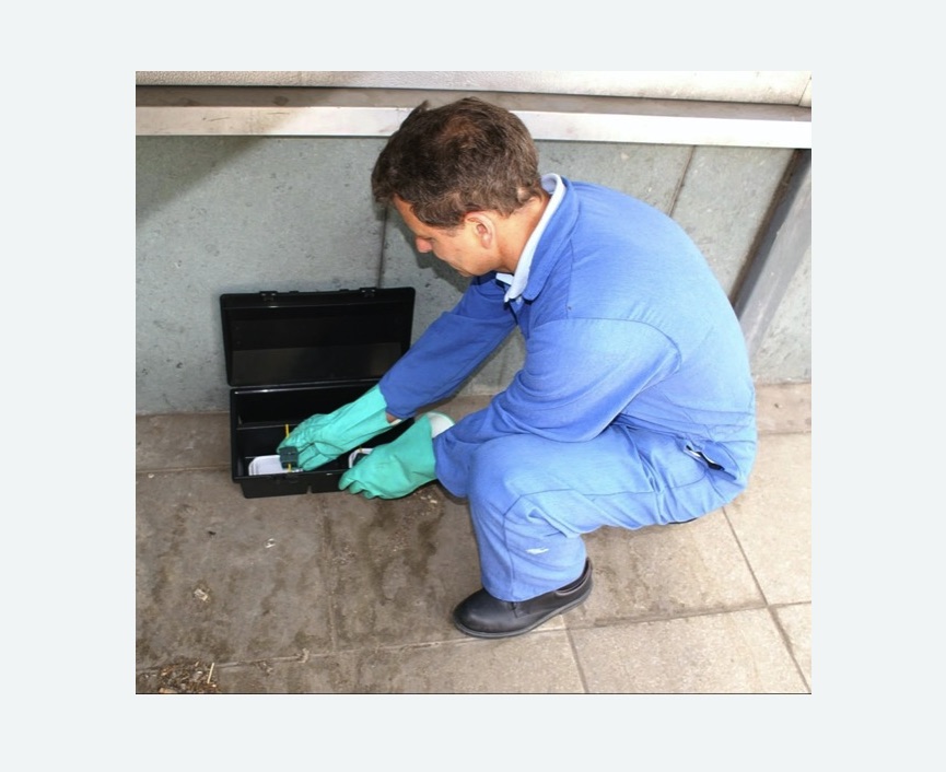 Уничтожение мышей в Ефимовском Уничтожение мышей