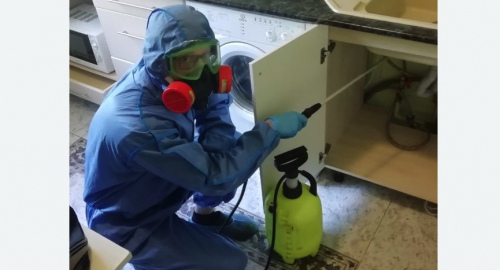 Уничтожение муравьев в квартире. Ефимовский