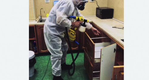 Уничтожение насекомых в квартире. Ефимовский