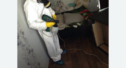 Обработка квартир от насекомых в Ефимовском