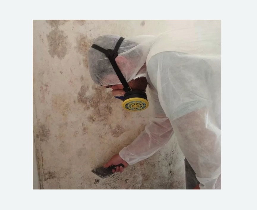 Обработка стен от плесени в Ефимовском