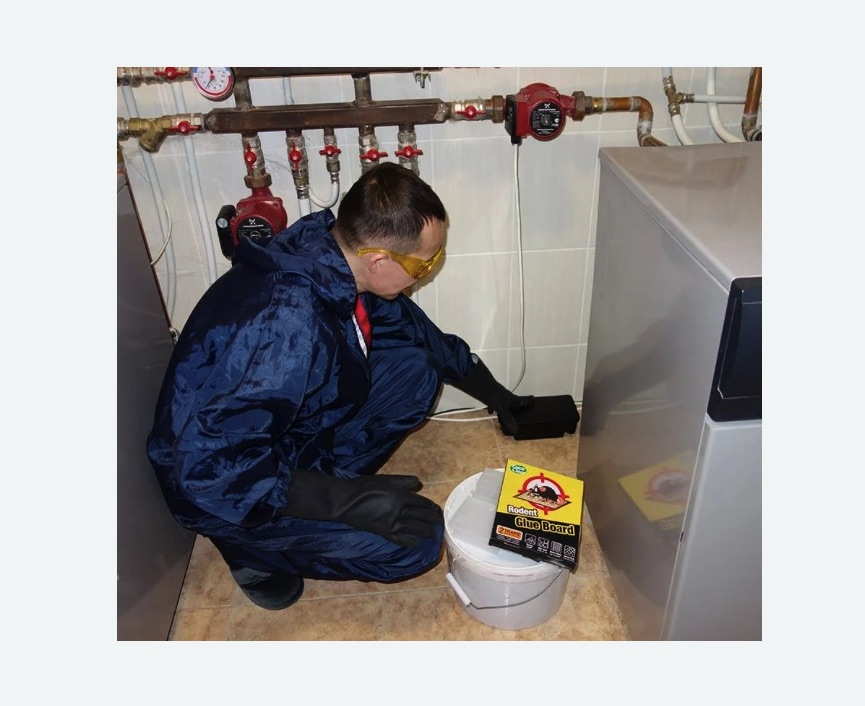 Уничтожение крыс в Ефимовском