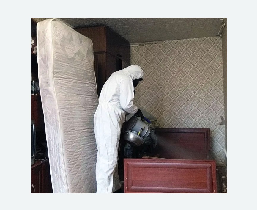 дезинфекция от клопов в Ефимовском