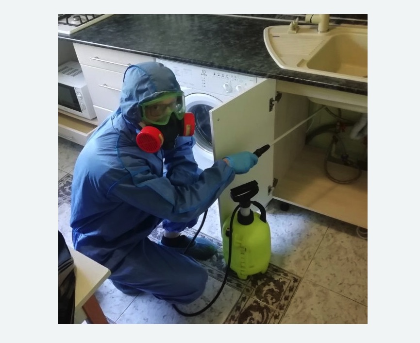 обработка от муравьев в квартире в Ефимовском