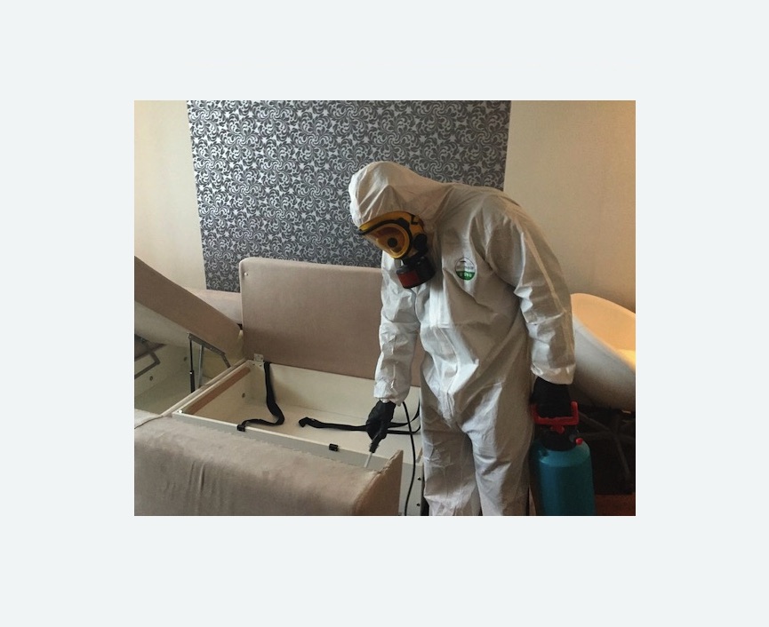 уничтожение клопов в квартире в Ефимовском