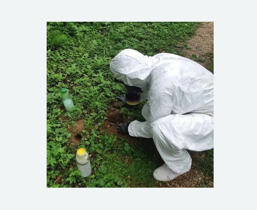 уничтожение кротов на участке в Ефимовском