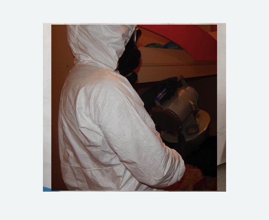 Дезинфекция от муравьев в Ефимовском