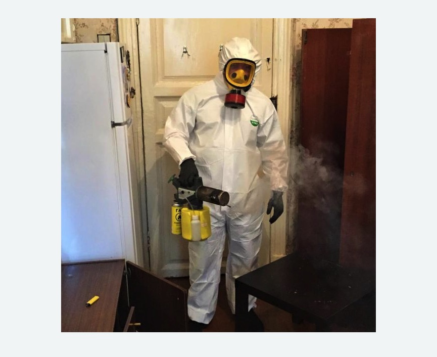 уничтожение муравьев в квартире в Ефимовском